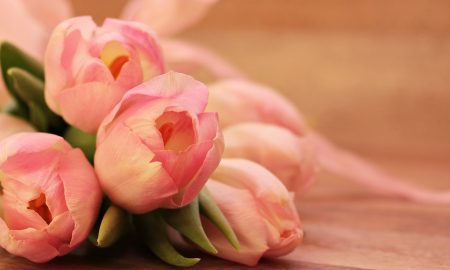 Aprire un negozio di fiori